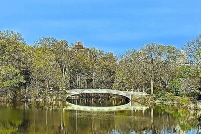 Private Guided Tour of Central Park - Getting your bearings fast with the Manhattan grid