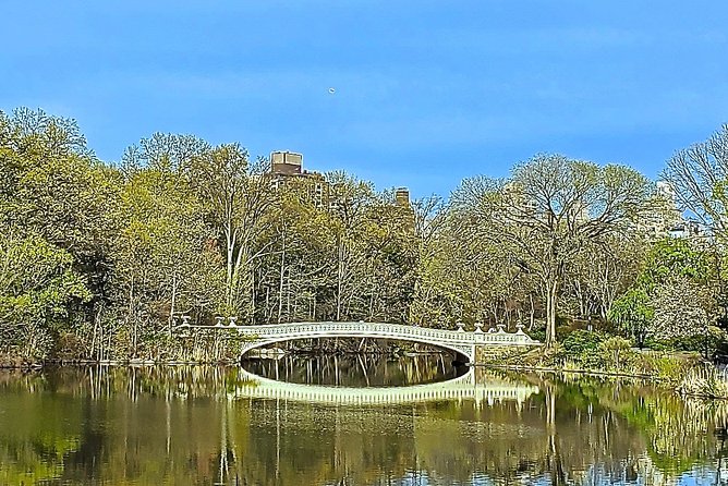 Private Guided Tour of Central Park - Getting your bearings fast with the Manhattan grid