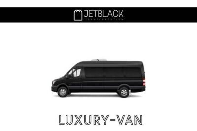 Private LGA Airport transfer / New York City (One Way) - Before you land: flight monitoring and instant pickup coordination