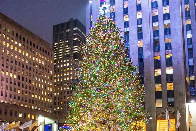 Private New York Christmas Tour with Driver and Guide - St. Patrick’s Cathedral and Fifth Avenue Window Displays