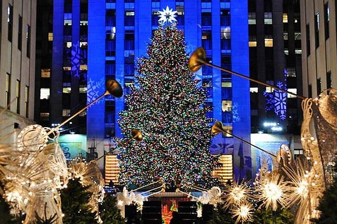 Private New York City Christmas Walking Tour - Who this private Christmas walking tour suits best