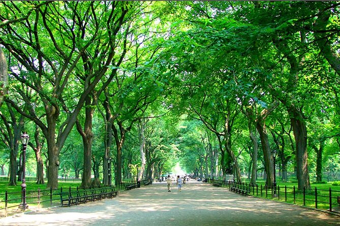 Private New York City Walking Tour: Central Park History and Hidden Secrets - Central Park History Highlights Without the Information Overload