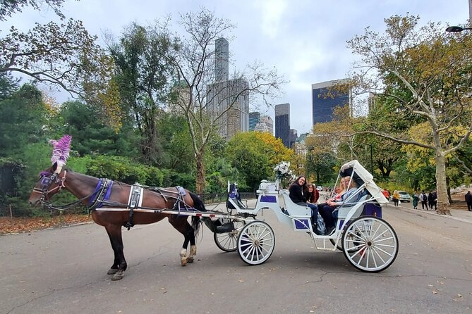 Private NYC Central Park Horse Carriage Ride (Guided) Since 1965™ - Key things I’d prioritize before you book