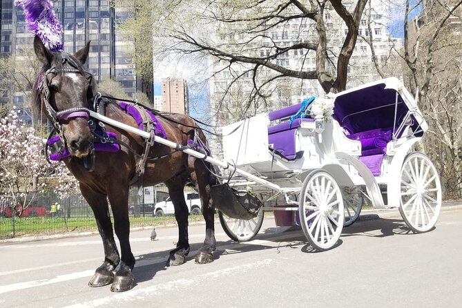 Private NYC Central Park Horse Carriage Ride (Guided) Since 1965™ - Getting started at Central Park South and 7th Avenue