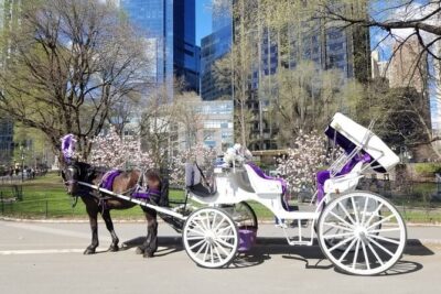 Private NYC Central Park Horse Carriage Ride (Guided) Since 1965™ - A 40-minute route that covers more than you think