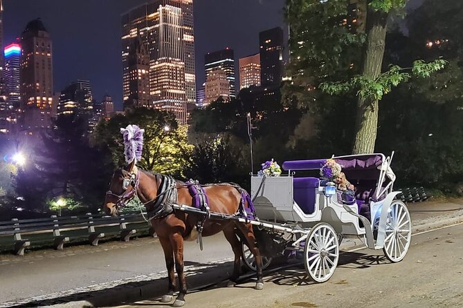 Private NYC Central Park Horse Carriage Ride (Guided) Since 1965™ - Stop-by-stop: Bethesda Fountain and Cherry Hill photo moments