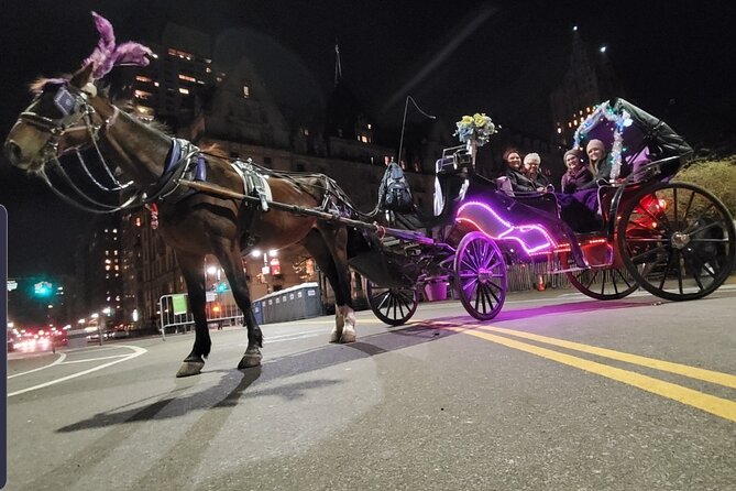 Private NYC Central Park Horse Carriage Ride (Guided) Since 1965™ - The Mall under American elms: where the ride feels slow (in a good way)