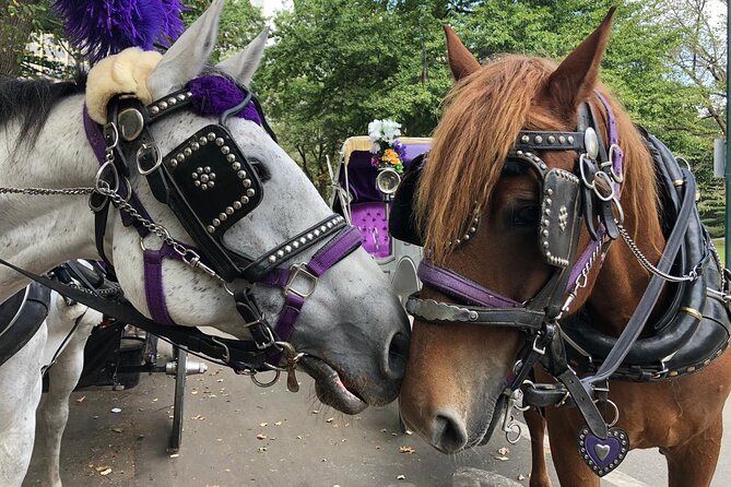 Private NYC Central Park Horse Carriage Ride (Guided) Since 1965™ - Classic Central Park set pieces: Wollman Rink and the Carousel
