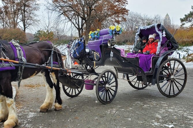 Private NYC Central Park Horse Carriage Ride (Guided) Since 1965™ - Sheep Meadow, Pinebank Arch, and the Elftery of cast-iron bridges