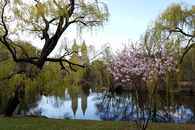 Private Scenic Central Park Walking Tour - Price and group value: what $328.67 buys you