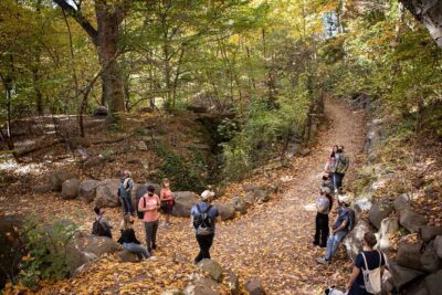 Prospect Park Tour - Entering Prospect Park: forest, meadow, and water in one guided loop