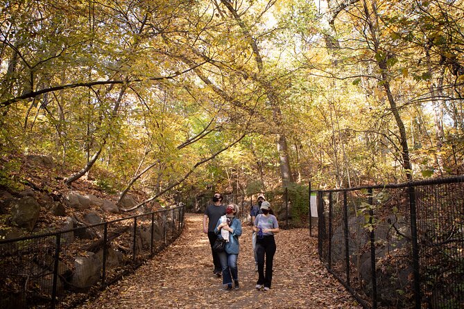 Prospect Park Tour - Who this Prospect Park walk suits best