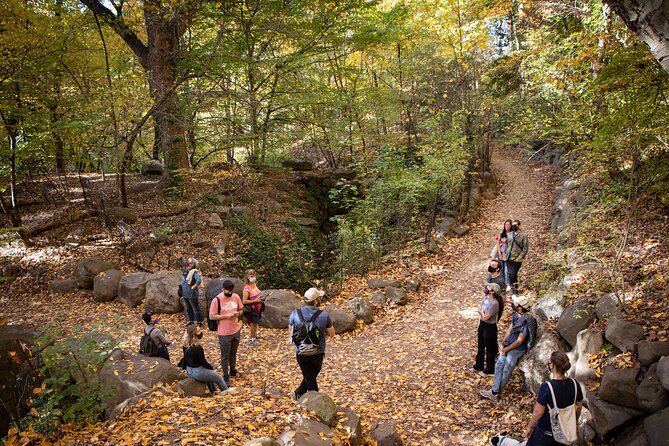 Prospect Park Tour - Entering Prospect Park: forest, meadow, and water in one guided loop