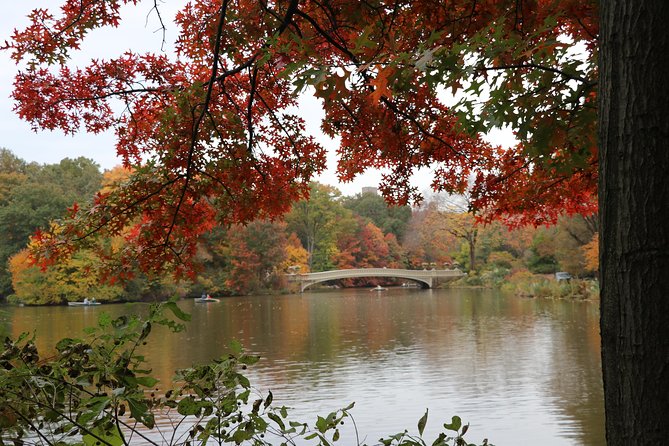 Romantic Proposal Carriage Tour in Central Park - Champagne, roses, and photos: what the included romance really means