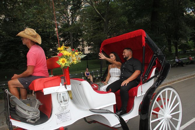 Romantic Proposal Carriage Tour in Central Park - Price and value: $415 per carriage, up to 4 people