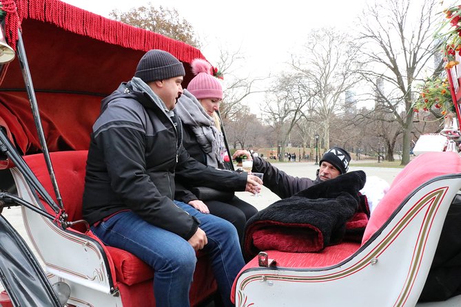 Romantic Proposal Carriage Tour in Central Park - Timing, weather, and how to avoid a rough ride