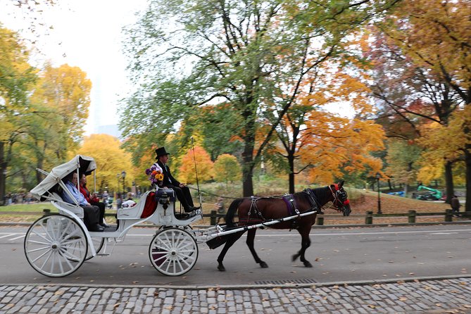 Romantic Proposal Carriage Tour in Central Park - Who this fits best (and who might not love it)