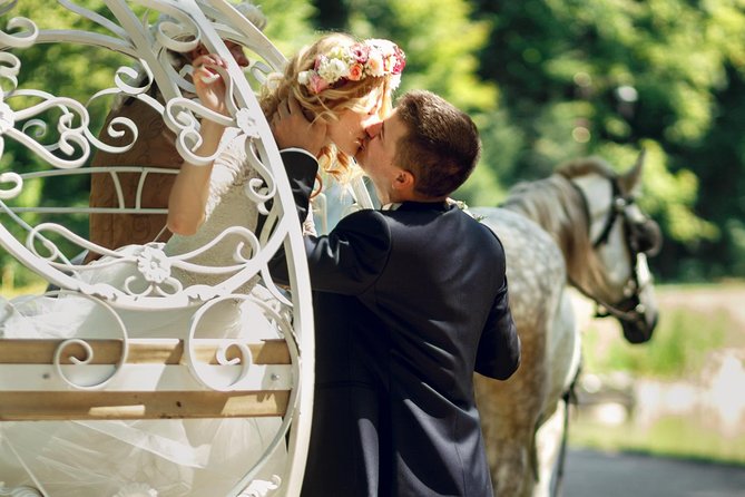 Romantic Proposal Carriage Tour in Central Park - The route: 59th Street quick intro, then Bow Bridge and Bethesda Fountain