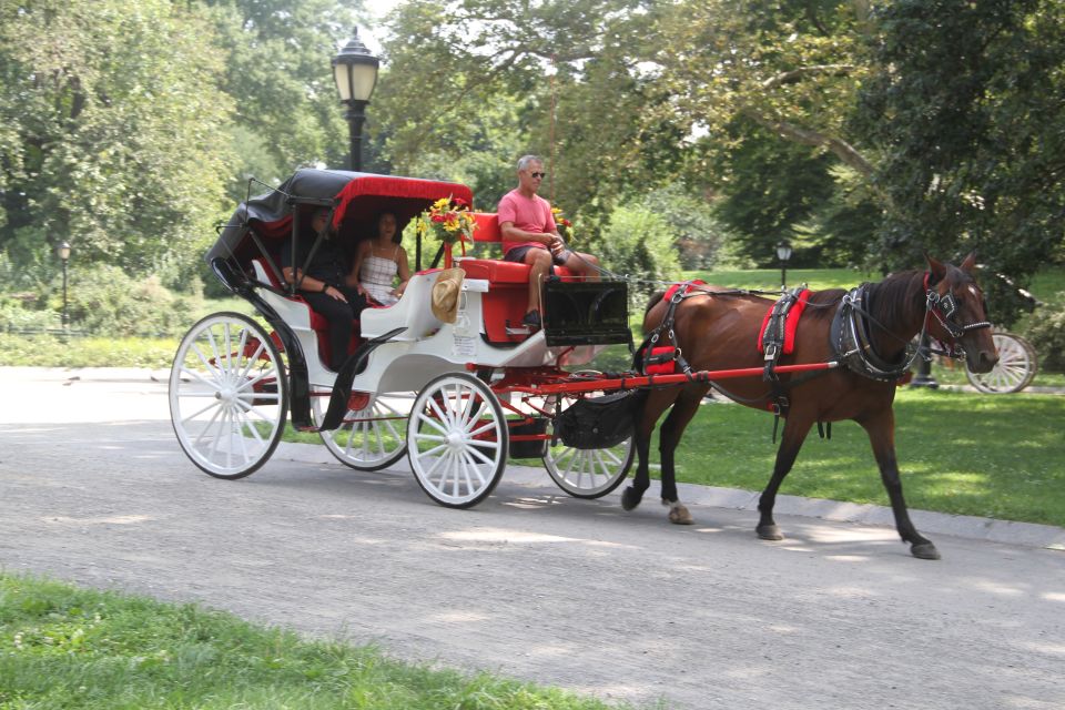 Romantic/Proposal Central Park Carriage Tour Up to 4 Adults - Key Points Worth Knowing