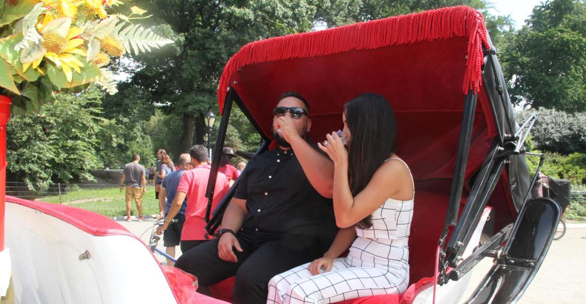 Romantic/Proposal Central Park Carriage Tour Up to 4 Adults - Should You Book This Central Park Proposal Carriage?