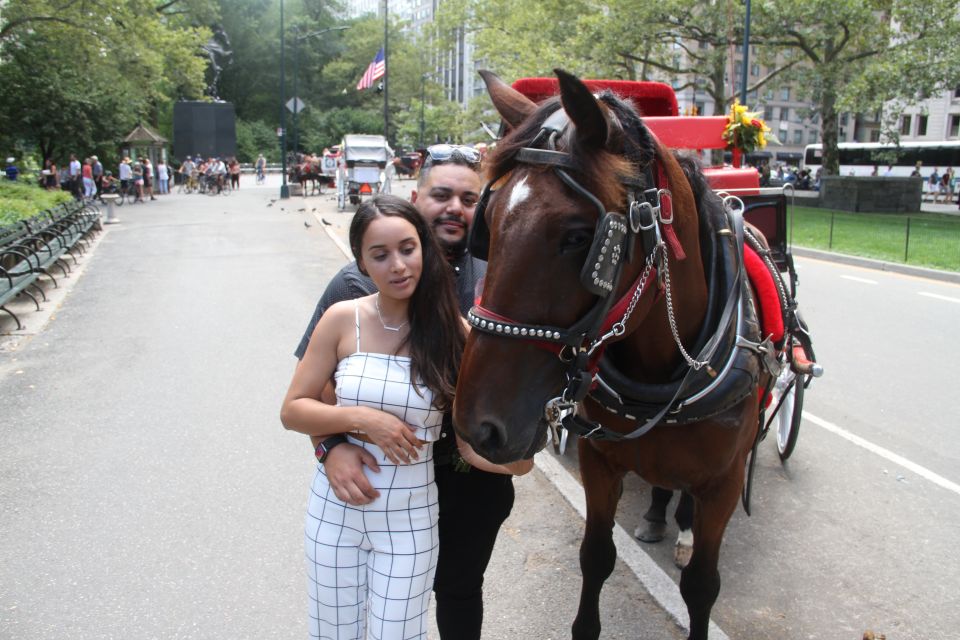 Romantic/Proposal Central Park Carriage Tour Up to 4 Adults - Central Park Carriage Energy: Why This Tour Feels Right for Proposals