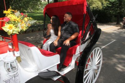 Romantic/Proposal Central Park Carriage Tour Up to 4 Adults - Where You Meet and How to Start Without Stress