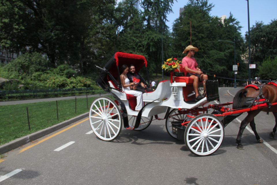 Romantic/Proposal Central Park Carriage Tour Up to 4 Adults - Photography That Looks Like Real Life (Not a Photoshoot)
