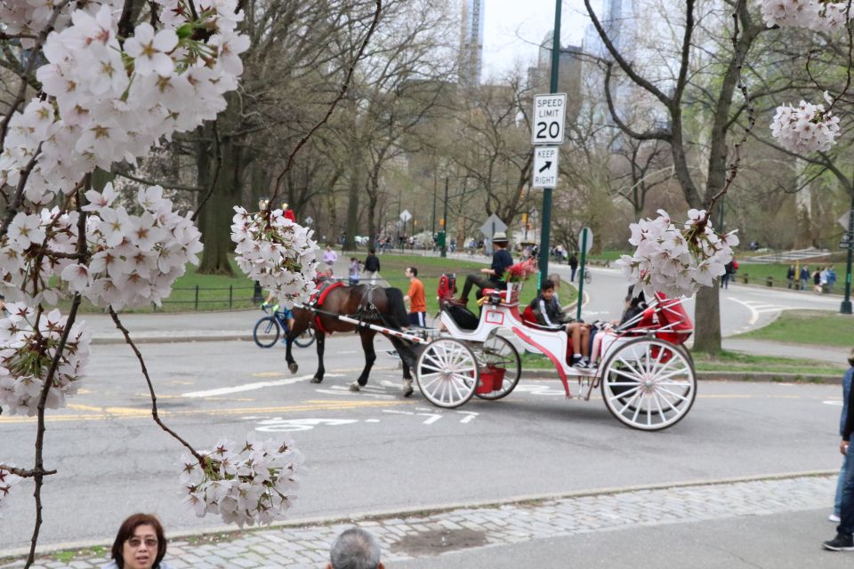 Romantic/Proposal Central Park Carriage Tour Up to 4 Adults - Who This Fits Best (And Who Should Skip)
