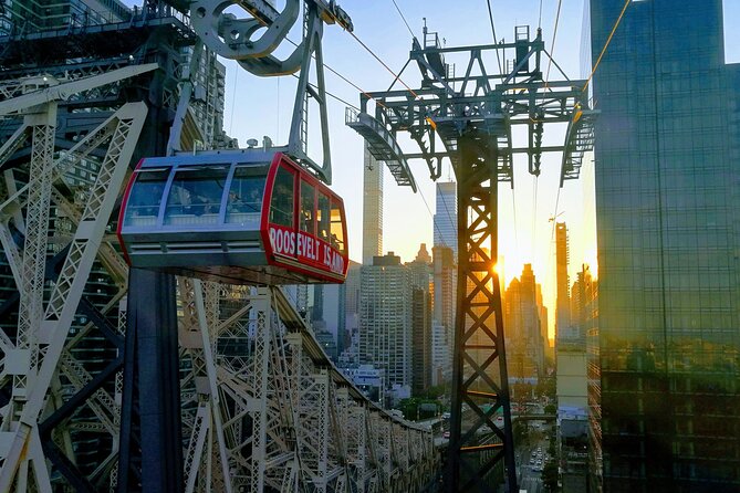 Roosevelt Island Historical Walking Tour - Roosevelt Island Tramway: the quick orientation that makes the whole tour click