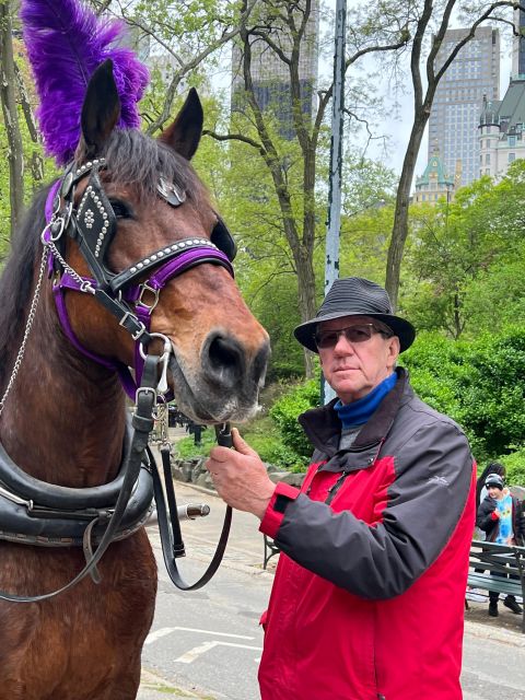 Royal Carriage Ride in Central Park NYC - Key Points Before You Go