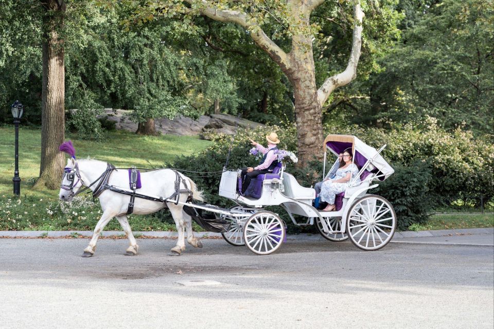 Royal Carriage Ride in Central Park NYC - Who This Tour Is Best For (And Who Might Prefer Something Else)