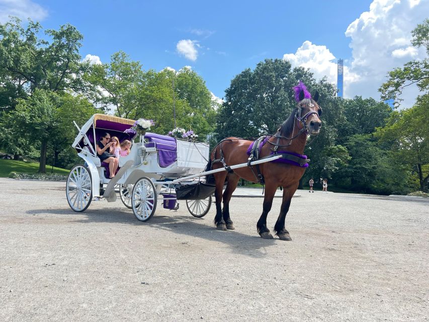 Royal Carriage Ride in Central Park NYC - Price and Time: What $155 per Group (Up to 4) Really Buys