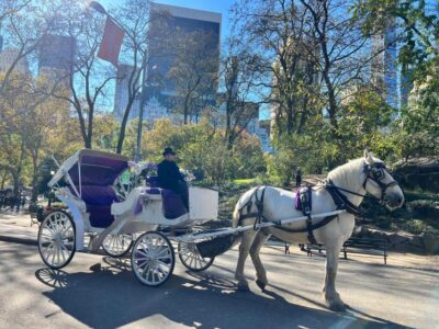 Royal Carriage Ride in Central Park NYC - Private VIP Ride Value: Why This Format Works