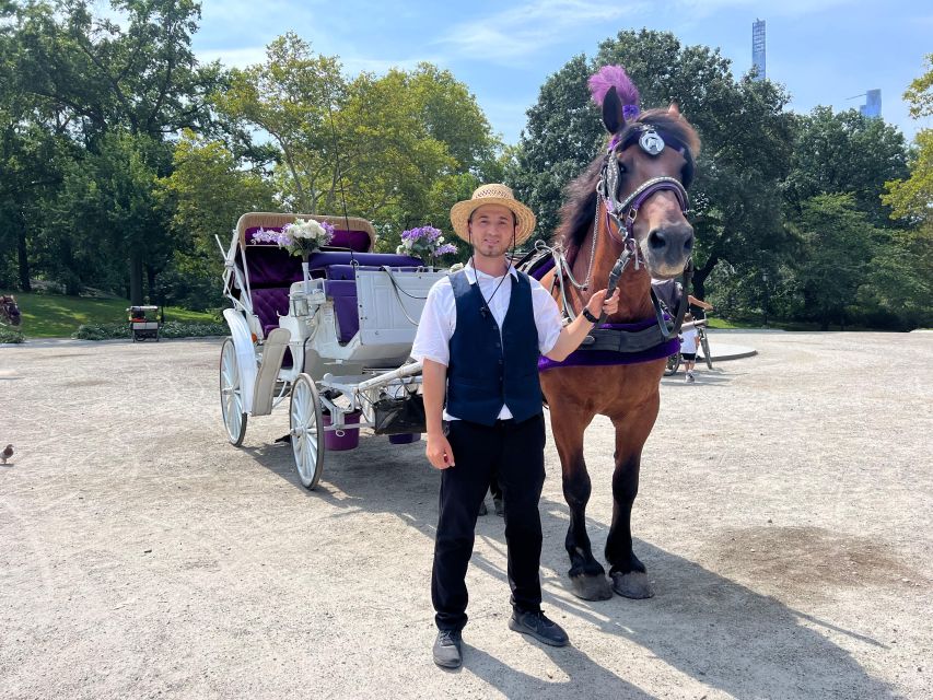 Royal Carriage Ride in Central Park NYC - Timing, Start Times, and the Group-Size Reality