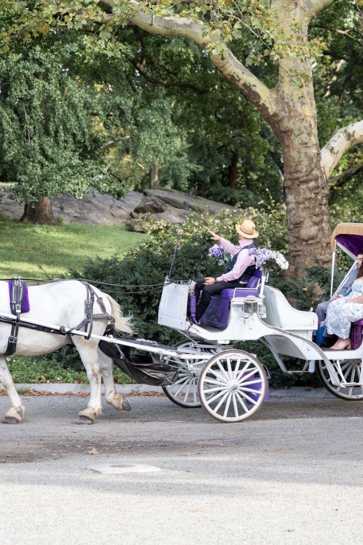 Royal Carriage Ride in Central Park NYC - Accessibility and Guide Support That Helps More Than You’d Expect