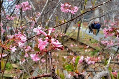 Secrets of the High Line - Meatpacking District: history with the street-level context