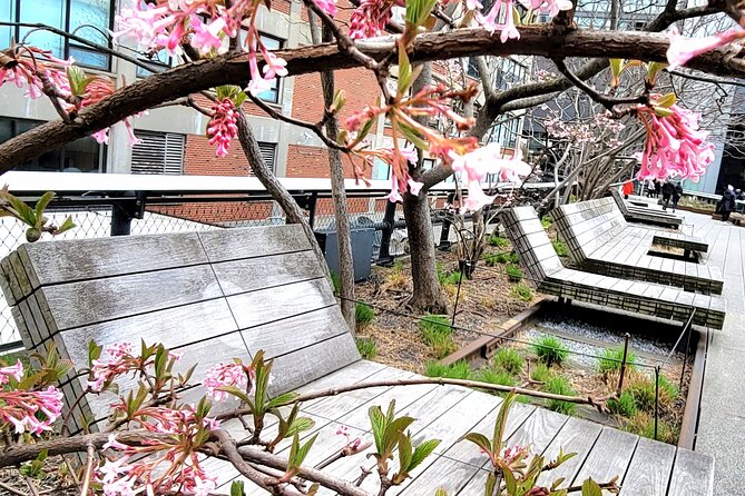 Secrets of the High Line - How long to plan, and how hard the walking really is