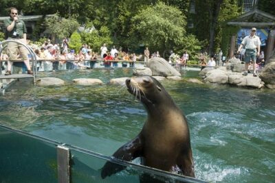 See 30 Top New York Sights (Walking Tour) & Visit Central Park Zoo. - Wall Street: From Bull Statue to Ground Zero Area Views