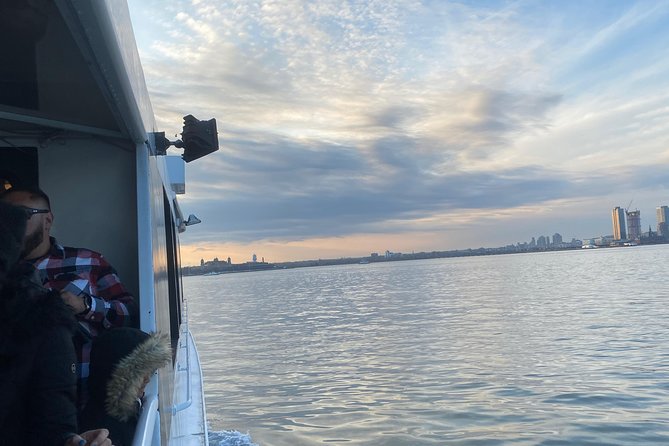 Statue of Liberty Sightseeing Cruise 60 Min - A realistic read on the rating and the risk factors