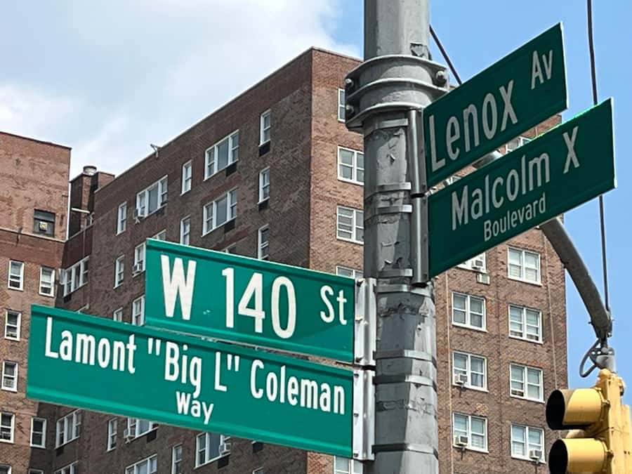 The Birthplace of Hip Hop Bus Tour - Bronx focus: 1520 Sedgwick Avenue and the Walk of Fame