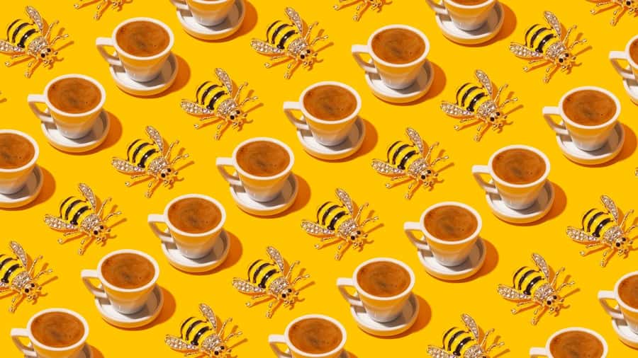 Turkish Coffee Fortune Ceremony - Your Cup Flip and the Grounds: What Actually Happens