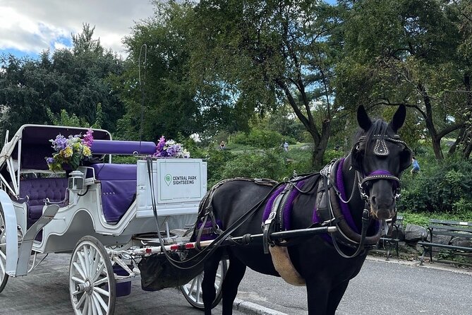 Unforgettable Luxury Horse and Carriage Tours in Central Park - Key Points to Know Before You Go