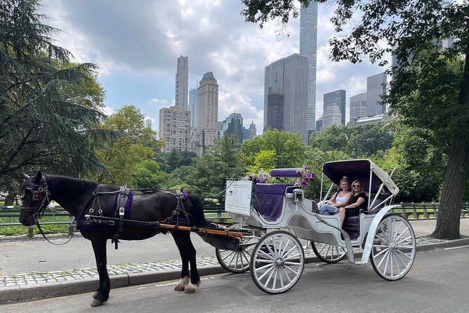 Unforgettable Luxury Horse and Carriage Tours in Central Park - Getting A Sense of Central Park from 200 W 59th St