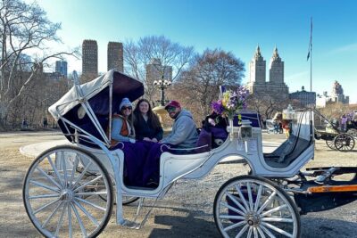 Unforgettable Luxury Horse and Carriage Tours in Central Park - The Route Starts with Movie-Scene Landmarks You Can Actually Place