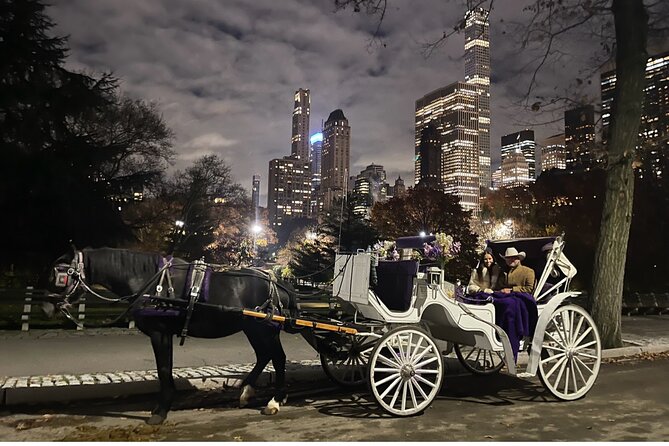 Unforgettable Luxury Horse and Carriage Tours in Central Park - The Horse Part: Blankets, Carrots, and a Friendly Ride Mood