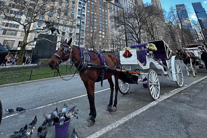 Unforgettable Luxury Horse and Carriage Tours in Central Park - Price and Value: When $100 per Group Works