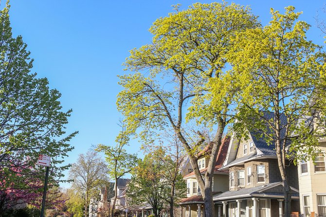 Victorian Flatbush , Brooklyn Private Tour - Victorian Flatbush: why this neighborhood walk feels different