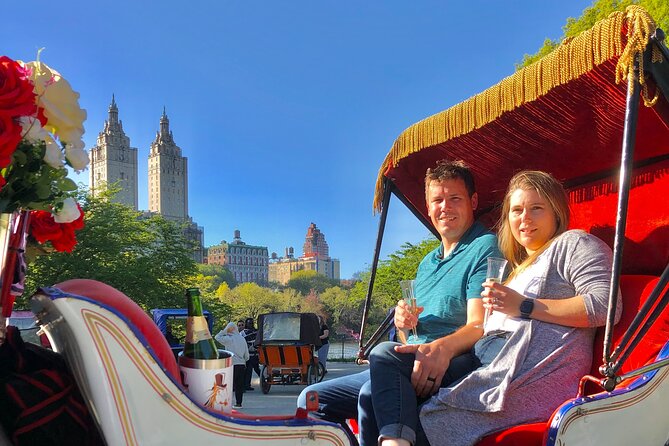VIP Central Park Champagne Tour with Photos(50 min)~Skip the line - Price and Value: What $269.99 Gets You (Up to 4)