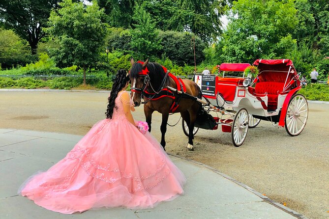 VIP Central Park Champagne Tour with Photos(50 min)~Skip the line - Your 50-Minute Route: Bethesda Stops That Do the Heavy Lifting