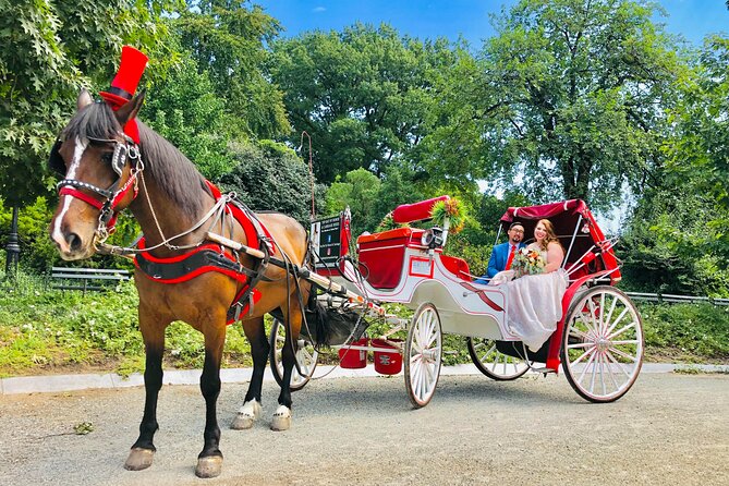VIP Central Park Champagne Tour with Photos(50 min)~Skip the line - Champagne, Blanket, and the Little Comforts That Matter